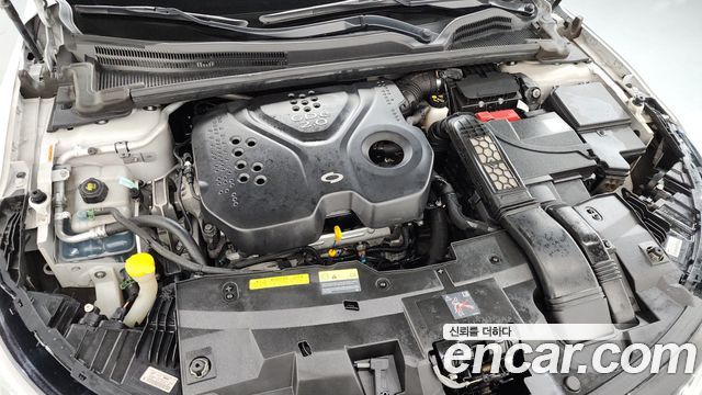 Renault Korea SM6 2.0 GDe LE 2016 — фото 6
