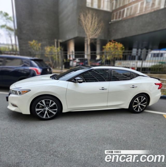 Nissan Maxima (A36) 3.5 Platinum 2017 — фото 3