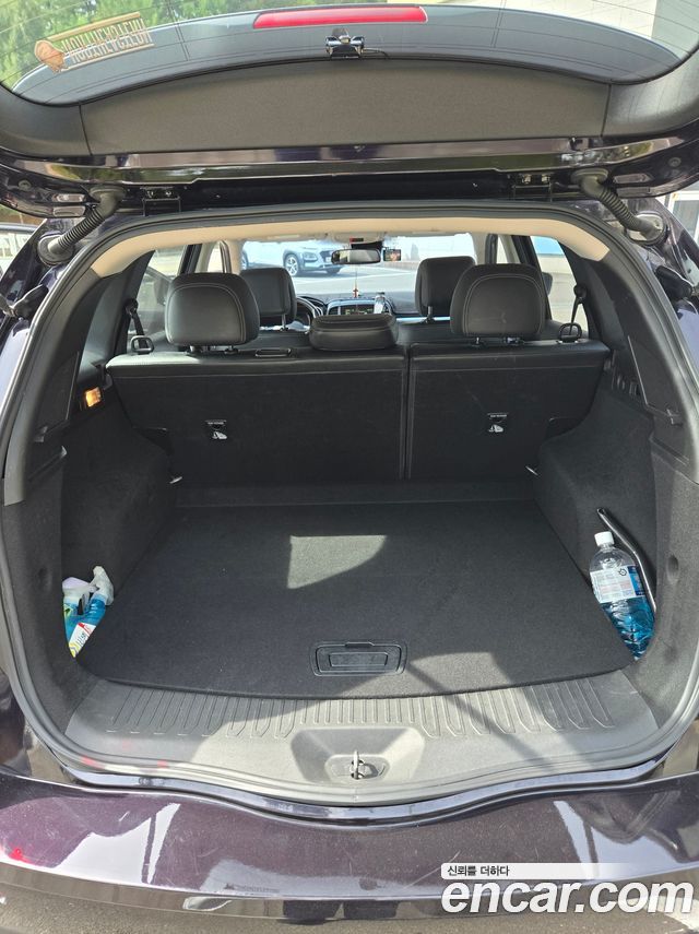 Renault Korea QM6 Gasoline 2WD RE 2018 — фото 3
