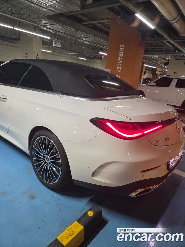 Mercedes-Benz CLE-Class (C236) CLE200 Cabriolet 2024 — фото 2