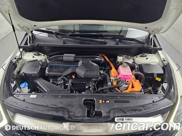 Kia Sportage Hybrid (V) Nobleless 2WD 2023 — фото 6