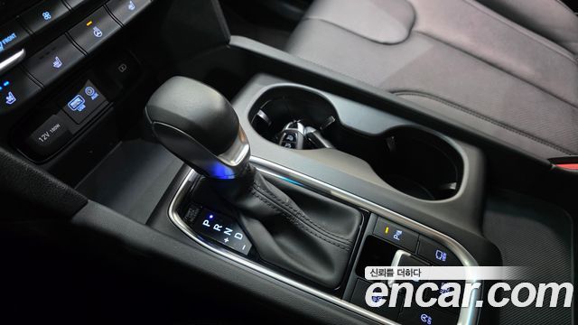 Hyundai Santa Fe (TM) Diesel 2.2 2WD Exclusive 2020 — фото 9