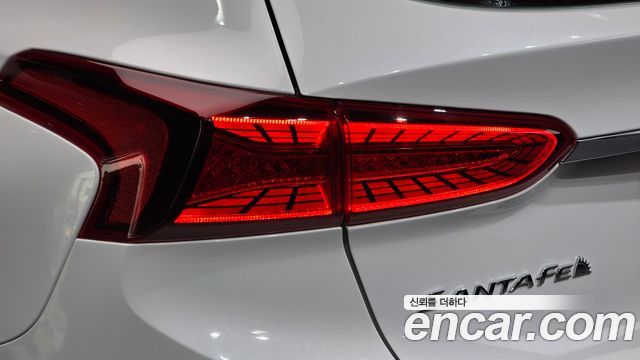 Hyundai Santa Fe (TM) Diesel 2.2 2WD Exclusive 2020 — фото 23