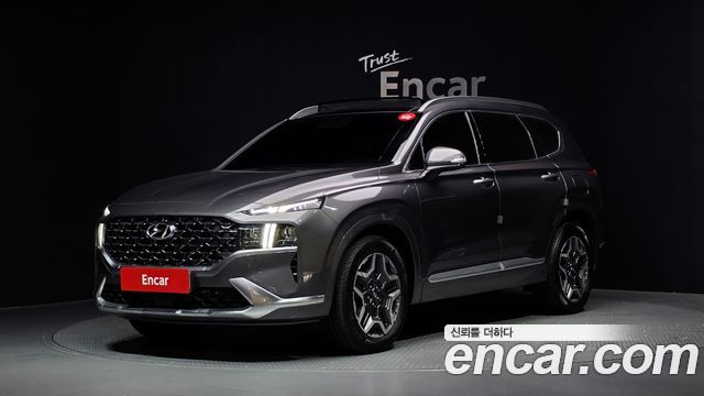 Hyundai Santa Fe HEV 1.6 2WD Calligraphy 2022 — фото 1