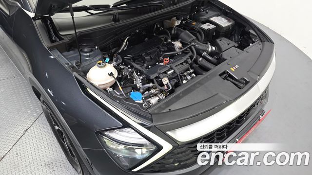 Kia Sportage (V) Gasoline 1.6 Turbo 2WD Prestige 2024 — фото 6