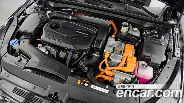 Kia K5 Hybrid (III) Noblesse 2023 — фото 6