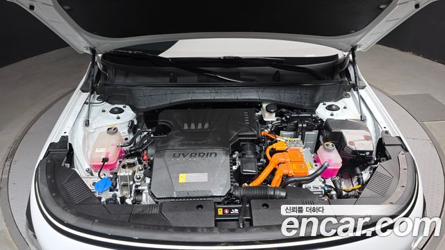 Hyundai Kona Hybrid (SX2) Premium 2023 — фото 6