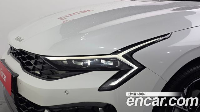 Kia K5 (III) 2.0 Noblesse 2025 — фото 22