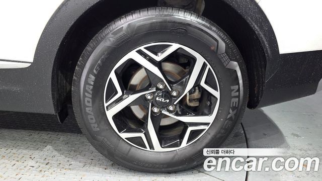Kia Sportage (V) Gasoline 1.6 Turbo 2WD Trendy 2022 — фото 21