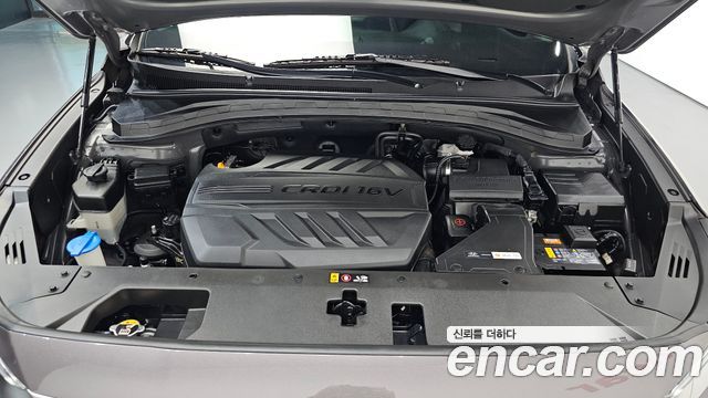 Hyundai Santa Fe (TM) Diesel 2,0 4WD Exclusive Special 2019 — фото 6