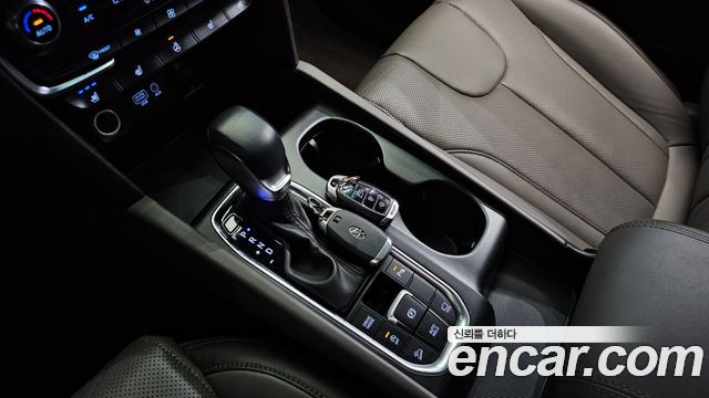 Hyundai Santa Fe (TM) Diesel 2,0 4WD Exclusive Special 2019 — фото 9