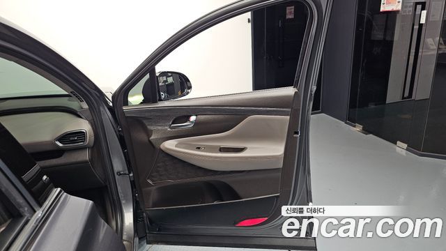 Hyundai Santa Fe (TM) Diesel 2,0 4WD Exclusive Special 2019 — фото 24