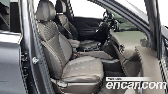 Hyundai Santa Fe (TM) Diesel 2,0 4WD Exclusive Special 2019 — фото 26