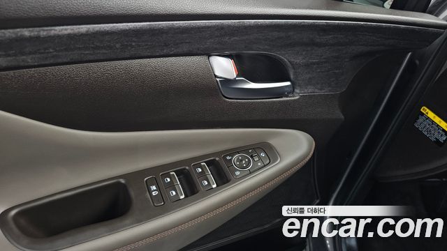 Hyundai Santa Fe (TM) Diesel 2,0 4WD Exclusive Special 2019 — фото 32