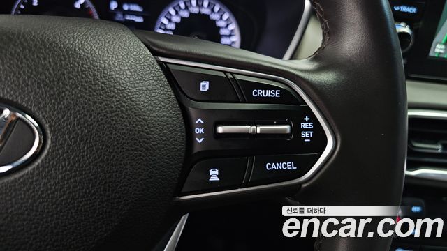 Hyundai Santa Fe (TM) Diesel 2,0 4WD Exclusive Special 2019 — фото 33