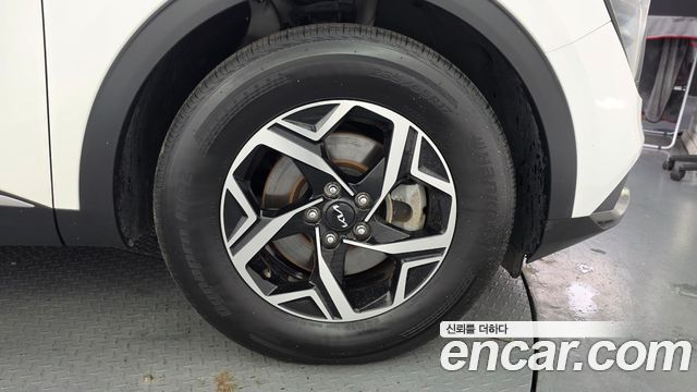 Kia Sportage (V) Gasoline 1.6 Turbo 2WD Trendy 2022 — фото 5