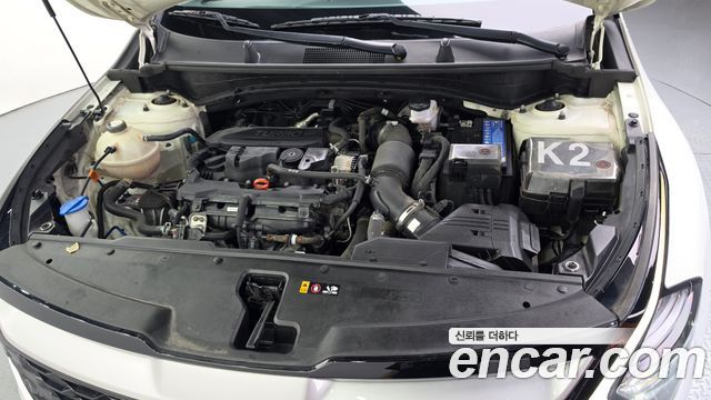 Kia Sportage (V) Gasoline 1.6 Turbo 2WD Trendy 2022 — фото 6