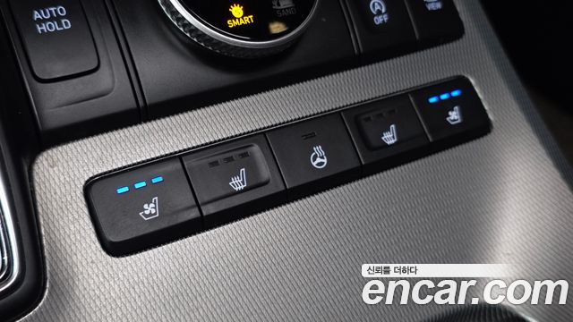 Hyundai Palisade Diesel 2.2 4WD Exclusive 2019 — фото 15