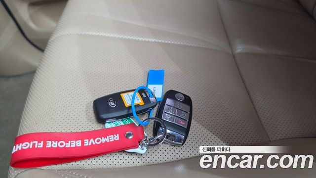 Kia Carnival 9-Seater Noblesse Special 2019 — фото 16