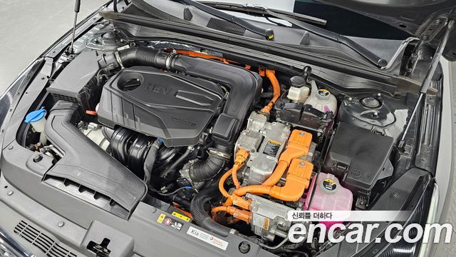 Kia K5 Hybrid (III) Trendy 2023 — фото 6