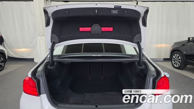 BMW 5 Series (G30) 520d xDrive M Sport Package Plus 2018 — фото 18