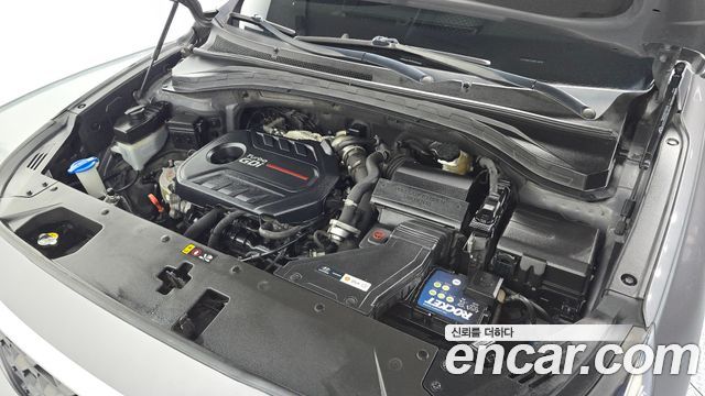 Hyundai Santa Fe (TM) Gasoline 2.0T 2WD Premium 2019 — фото 6