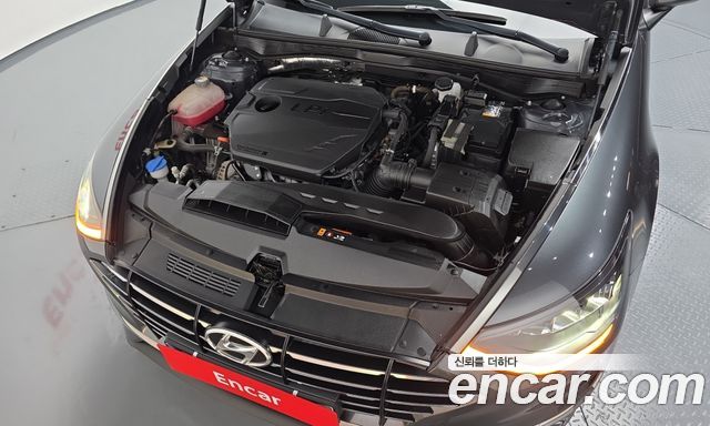 Hyundai Sonata (DN8) 2.0 LPG(rental car) Premium 2023 — фото 6