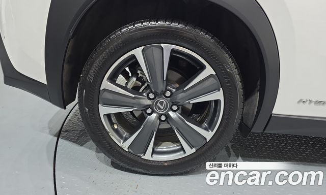 Lexus UX250h 2.0 AWD 2019 — фото 5