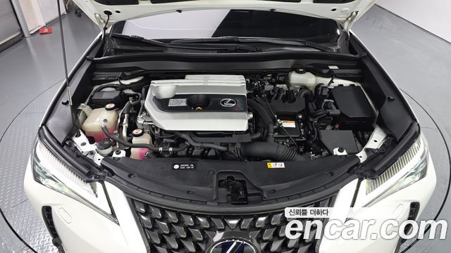 Lexus UX250h 2.0 AWD 2019 — фото 6