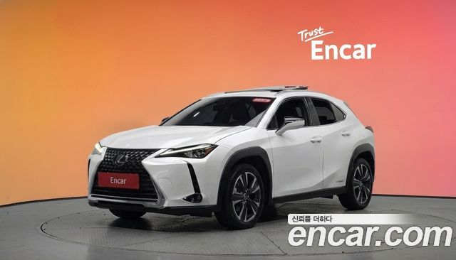 Lexus UX250h 2.0 AWD