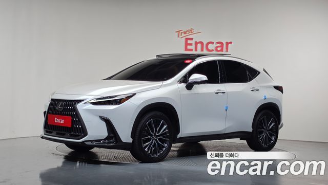 Lexus NX350h (II) Luxury