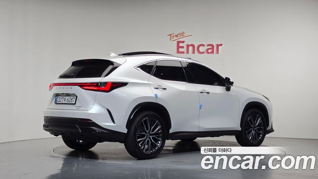 Lexus NX350h (II) Luxury 2025 — фото 2
