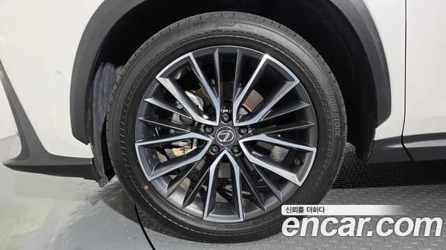 Lexus NX350h (II) Luxury 2025 — фото 5