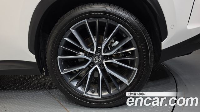 Lexus NX350h (II) Luxury 2025 — фото 21