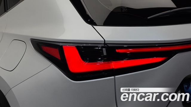 Lexus NX350h (II) Luxury 2025 — фото 23