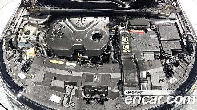 Renault Korea SM6 2.0 GDe RE 2017 — фото 6