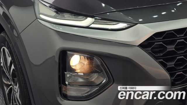 Hyundai Santa Fe (TM) Diesel 2.0 2WD Premium 2019 — фото 22