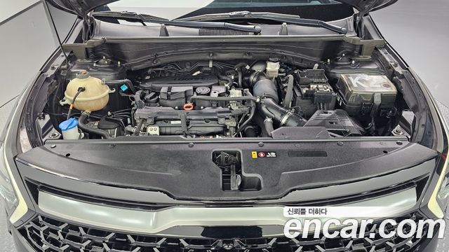 Kia Sportage (V) Gasoline 1.6 Turbo 2WD Signature Gravity 2022 — фото 6
