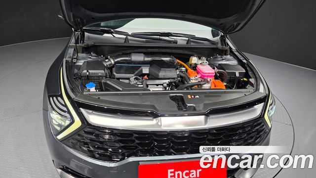 Kia Sportage Hybrid (V) Signature 2WD 2024 — фото 6