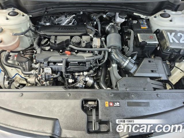 Kia Sportage (V) Gasoline 1.6 Turbo 2WD Signature 2022 — фото 5