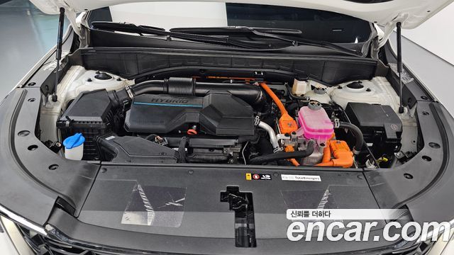Kia Sorento (IV) HEV 1.6 2WD Signature 2025 — фото 6