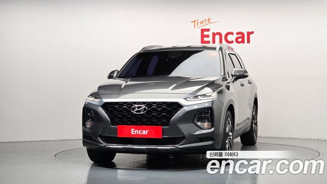 Hyundai Santa Fe (TM) Diesel 2.0 2WD Exclusive 2019 — фото 3