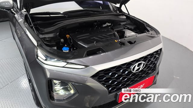 Hyundai Santa Fe (TM) Diesel 2.0 2WD Exclusive 2019 — фото 6