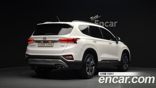 Hyundai Santa Fe (TM) Diesel 2.0 2WD Exclusive Special 2019 — фото 2
