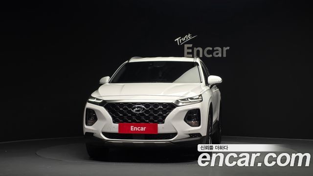 Hyundai Santa Fe (TM) Diesel 2.0 2WD Exclusive Special 2019 — фото 3