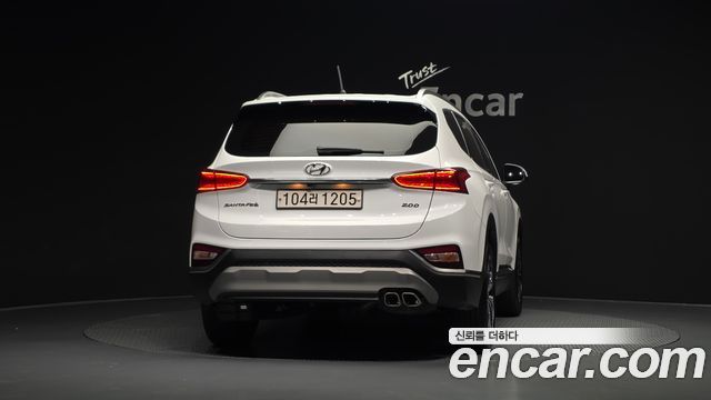 Hyundai Santa Fe (TM) Diesel 2.0 2WD Exclusive Special 2019 — фото 4