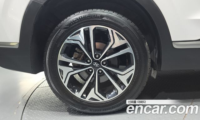 Hyundai Santa Fe (TM) Diesel 2.0 2WD Exclusive Special 2019 — фото 5