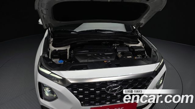 Hyundai Santa Fe (TM) Diesel 2.0 2WD Exclusive Special 2019 — фото 6