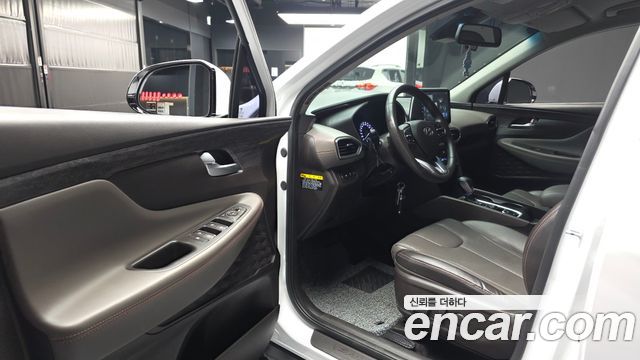 Hyundai Santa Fe (TM) Diesel 2.0 2WD Exclusive Special 2019 — фото 10