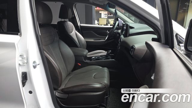 Hyundai Santa Fe (TM) Diesel 2.0 2WD Exclusive Special 2019 — фото 11